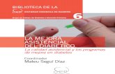 Tomo 6 - La Mejora Asistencial Del Diabético