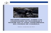 INFORME ESPECIAL SOBRE LAS  CONDICIONES DE SEGURIDAD E  HIGIENE EN LA ZONA CARBONÍFERA  DEL ESTADO DE COAHUILA