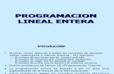 08 Programacion Lineal Entera