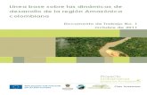 Línea base sobre las dinámicas de desarrollo dela región Amazónica colombiana