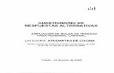 AYUDANTE DE COCINA (Resolución de 28-04-2006)
