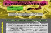 TEMA 6 Enterobacterias