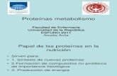 Proteínas- metabolismo clase 8