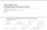 Ácidos Carboxílicos2k11