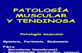17 - patología musculos y tendones