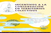 Incentivos a la Conservación en territorios colectivos