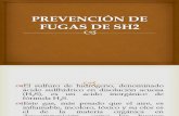 PREVENCIÓN DE FUGAS DE SH2