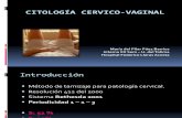 CITOLOGÍA CERVICO-VAGINAL 2