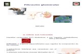 3. Función Renal-Filtración glomerular