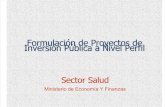 Formulación de Proyectos de Inversión Pública a Nivel de Perfil - Salud
