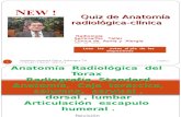 Quiz de  Anatomía   Radiológica  del  torax