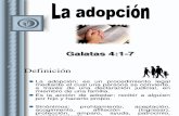 La Adopcion 1