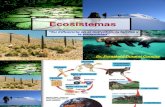 3 Ecosistemas Cadena Trofica Ciclo Biogeoquimico 2011