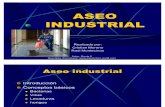Aseo Industrial