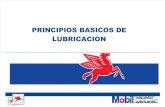 PRINCIPIOS BASICOS MMC