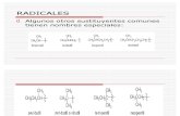 Ciclo Alcanos y Reacciones de Alcanos