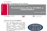 Principios y situación del control y las sanciones en el Perú: Ocma y Odecmas