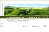Sistemas de Producción - PortalGuarani.com