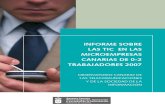 Informe-Encuesta sobre las TIC en las microempresas canarias 2007