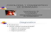 72 Fisiologia y Diagnostico de Embarazo 120113387439099 3 Ppt Share)