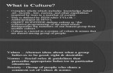IB - Culture