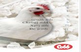 Guía del manejo del pollo de engorde