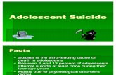 Suicide Presentatioin
