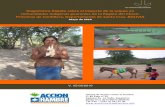 Diagnóstico sobre el Impacto de la Sequía en el Chaco Boliviano (mayo 2010)