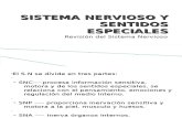 Sesion 1-Sistema Nervioso y Sentidos Especiales