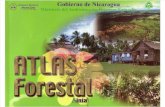 atlas forestal de nicaragua