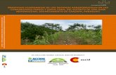 Beneficios económicos de los sistemas agroforestales en las comunidades Pindoi y Zanja Cora (Tesis de Grado)