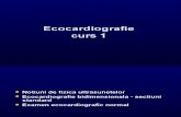 Ecocardiografie - Curs 1