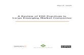 RSE - Cómo actúan las empresas en Mercados Emergentes (Encuesta)