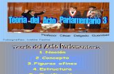 CDG - Teoría del Acto Parlamentario (Vicios Objetivos y Subjetivos)