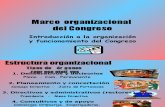 CDG - Marco organizacional del Congreso