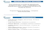 Evaluacion de La Etapa de Separacion Neumatica Fibra - Nuez y Rompimiento de Nueces...