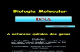 Biologia PPT - Molecular - DNA e RNA