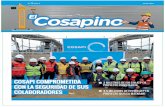 Periódico Cosapino 12