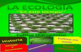 Revista ''La Ecología en este tiempo''