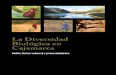 La Diversidad Biológica en Cajamarca. Gobierno Regional de Cajamarca, PDRS-GIZ, GRUFIDES, ACSUR