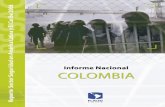 Informe nacional colombia