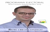 Programa Electoral (IU Rute 2015)