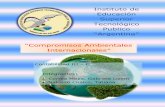 Compromisos internacionales ambientales