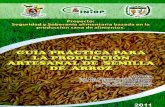 Guía práctica para la producción artesanal de semilla de arroz