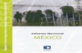 Reporte del sector seguridad 2006 informe nacional méxico