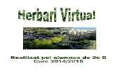 Herbari virtual