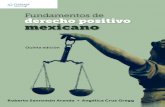 Fundamentos de derecho positivo mexicano. 5 Ed. Roberto A. Sanromán y Angélica Cruz Gregg