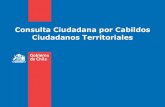 Resultados Consulta Ciudadana Cabildos Ciudadanos Territoriales