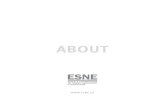 About ESNE