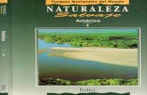 Naturaleza salvaje tomo 1 america folio 1993